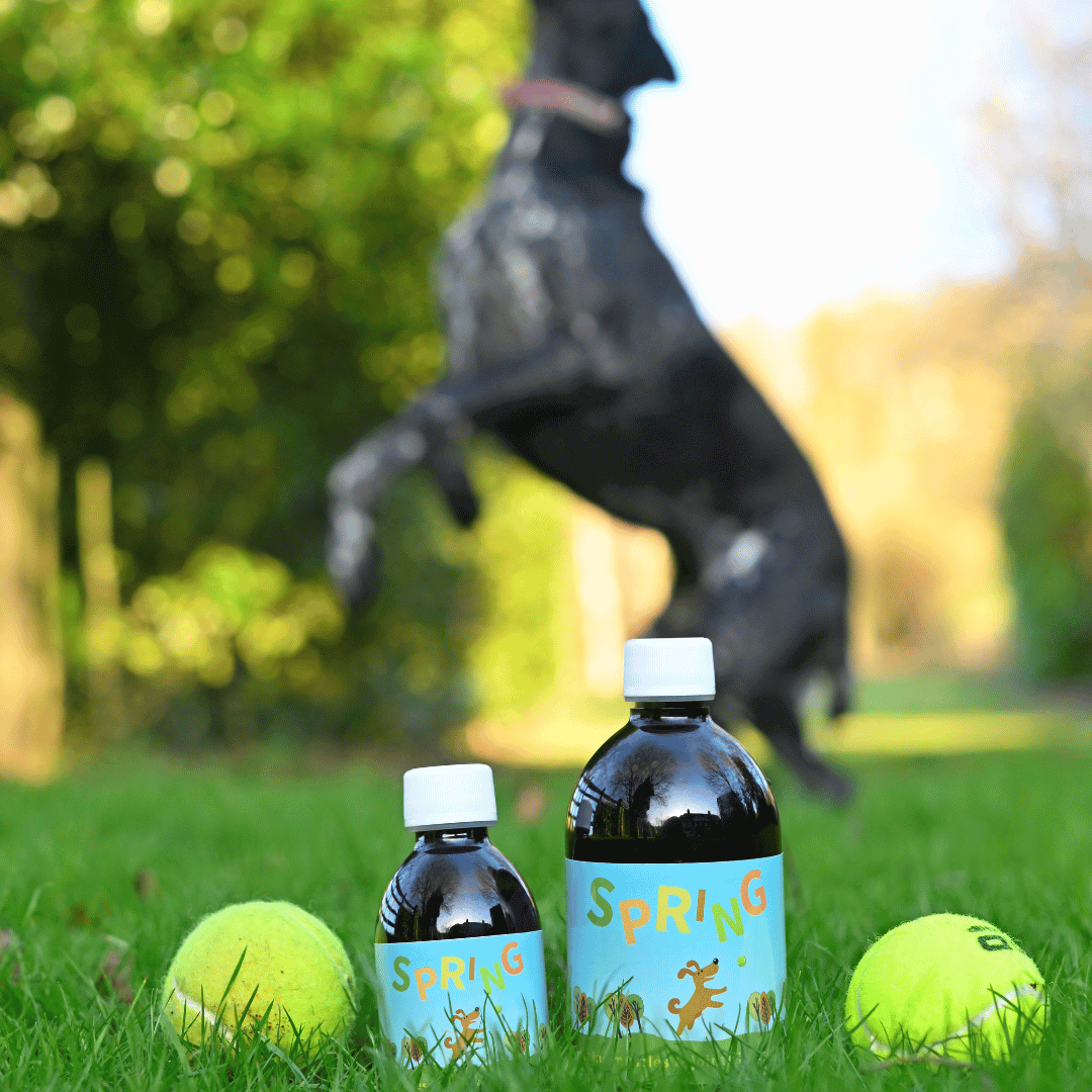 Liquid Dog Joint Supplement product image 1
