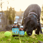 Liquid Dog Joint Supplement product image 3