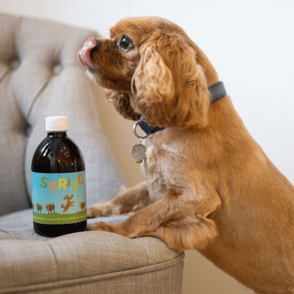 Liquid Dog Joint Supplement product image 5