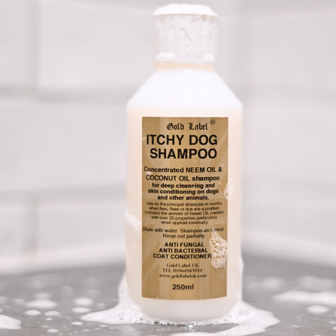 Neem and Coconut Oil Dog Shampoo product image 1