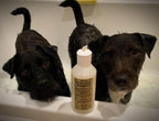 Neem and Coconut Oil Dog Shampoo product image 3