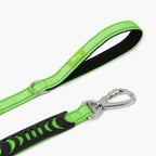 Dog Leash product image 15