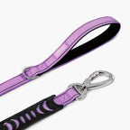 Dog Leash product image 31