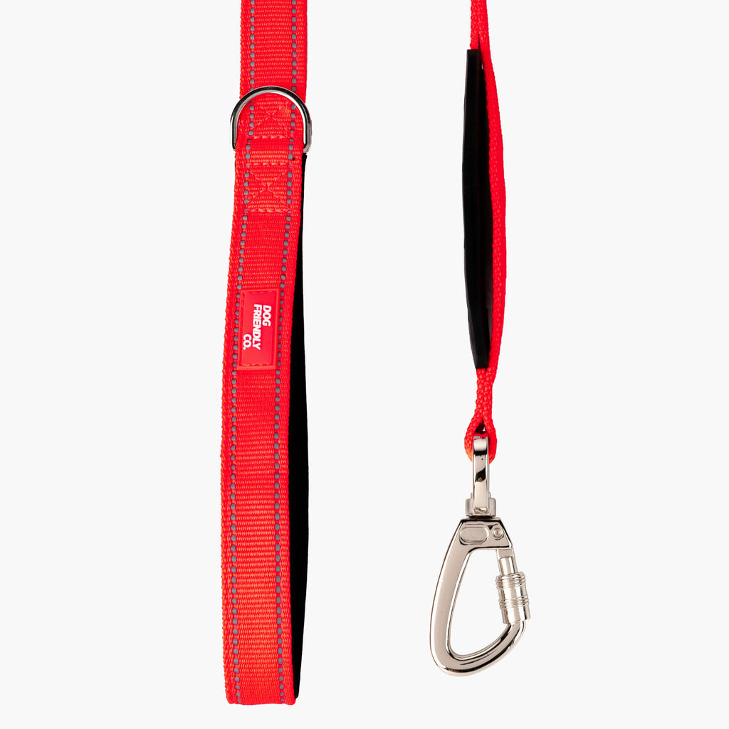 Dog Leash product image 34
