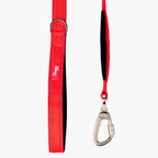 Dog Leash product image 34