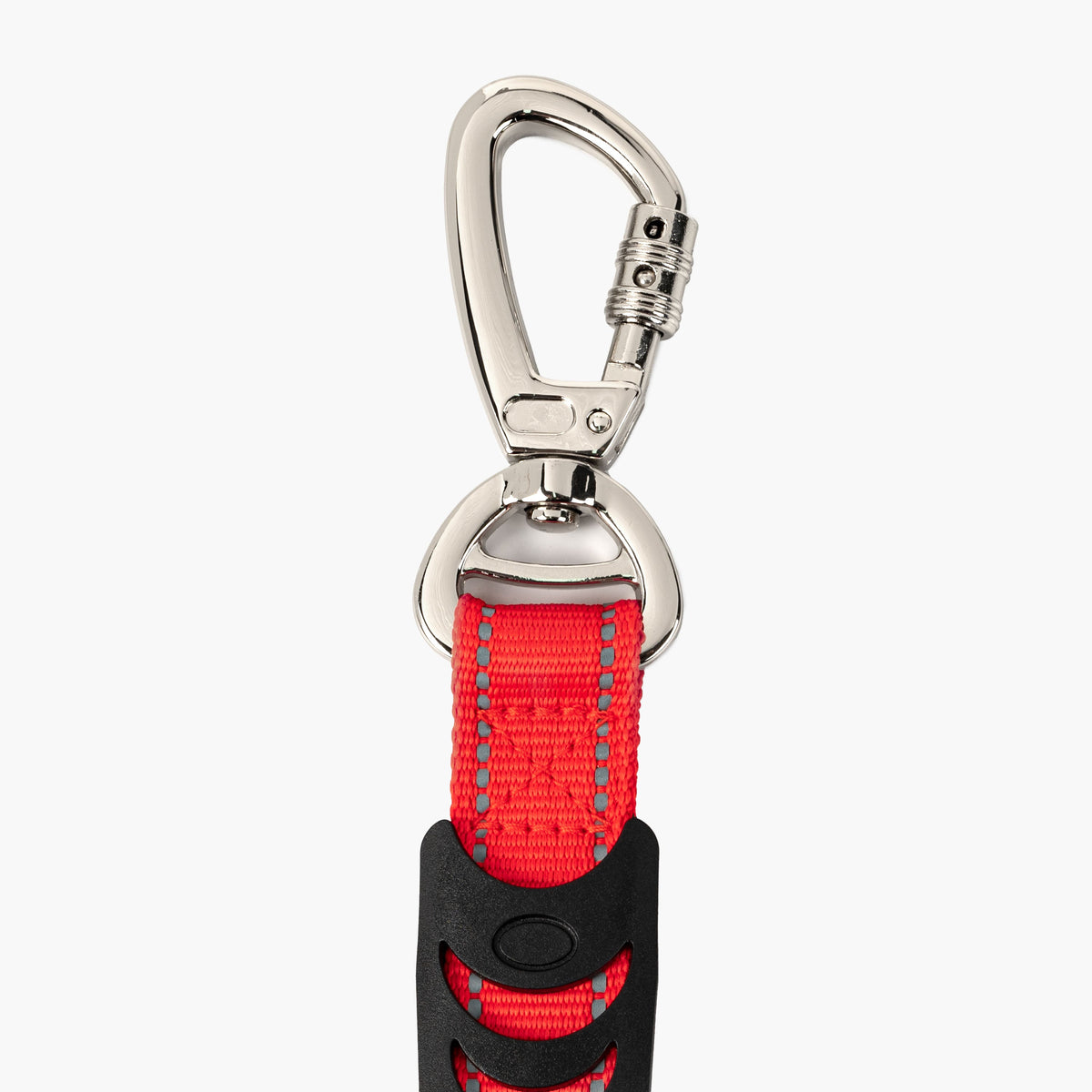 Dog Leash product image 36