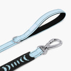 Dog Leash product image 39