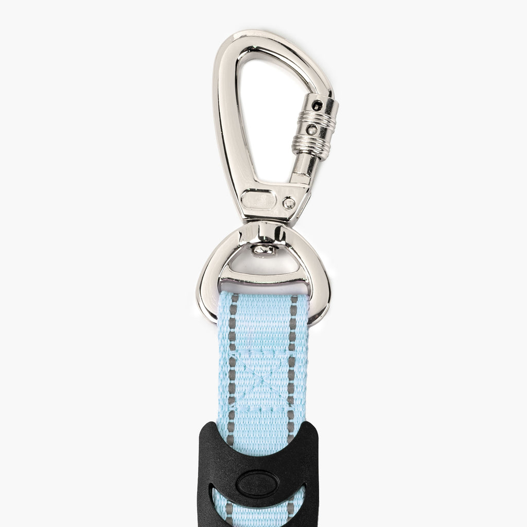 Dog Leash product image 40