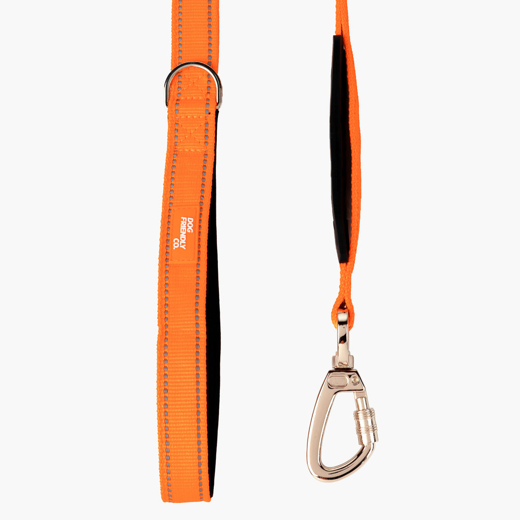 Dog Leash product image 42