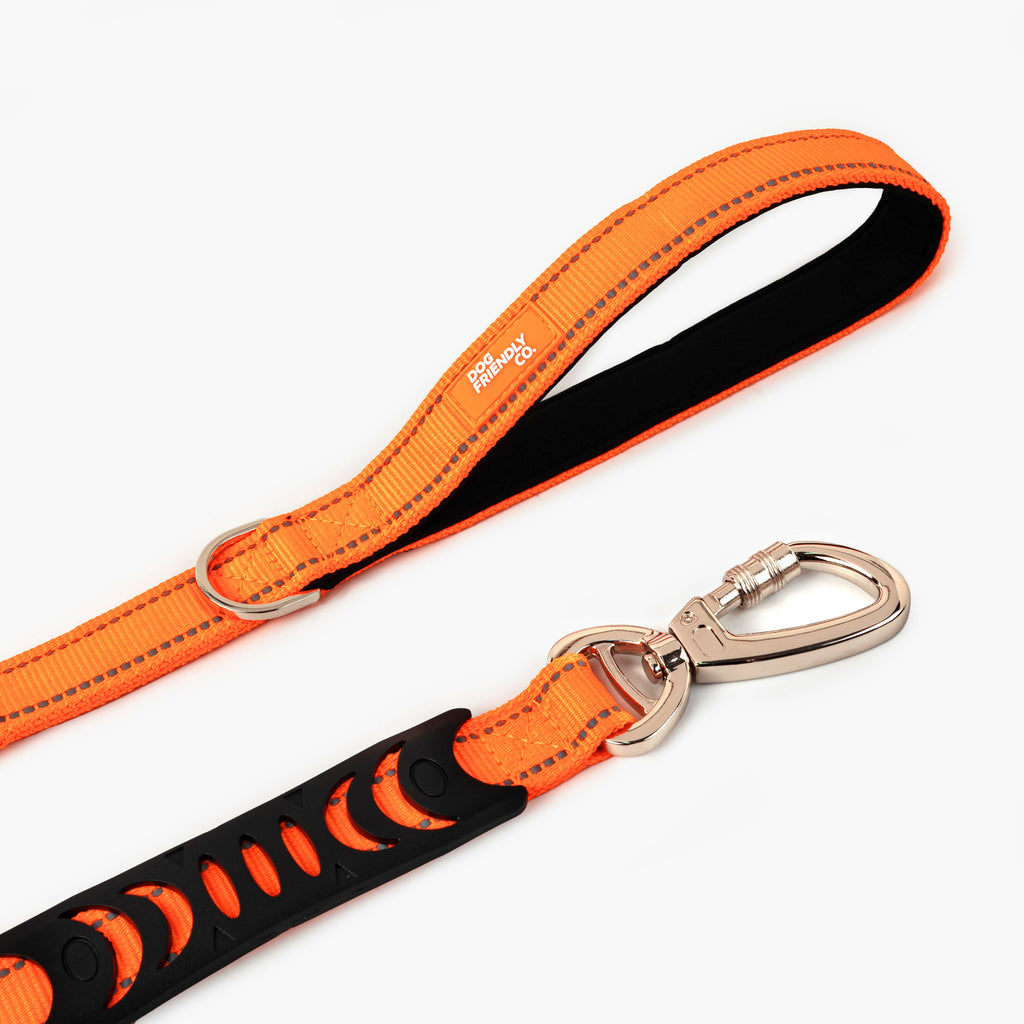 Dog Leash product image 43
