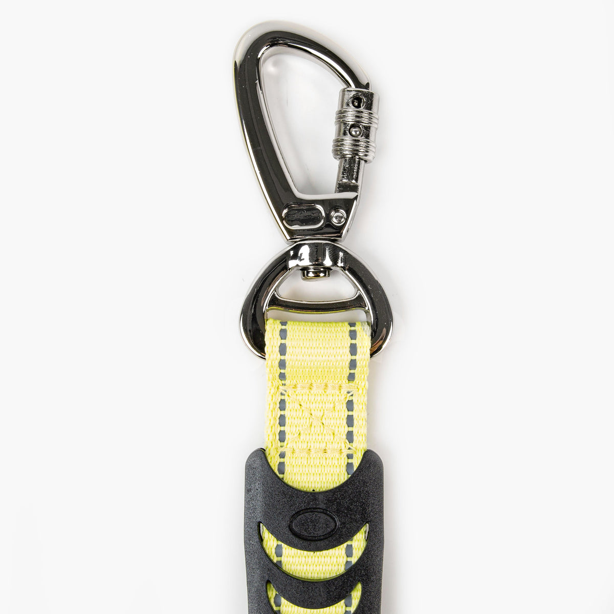 Dog Leash product image 48