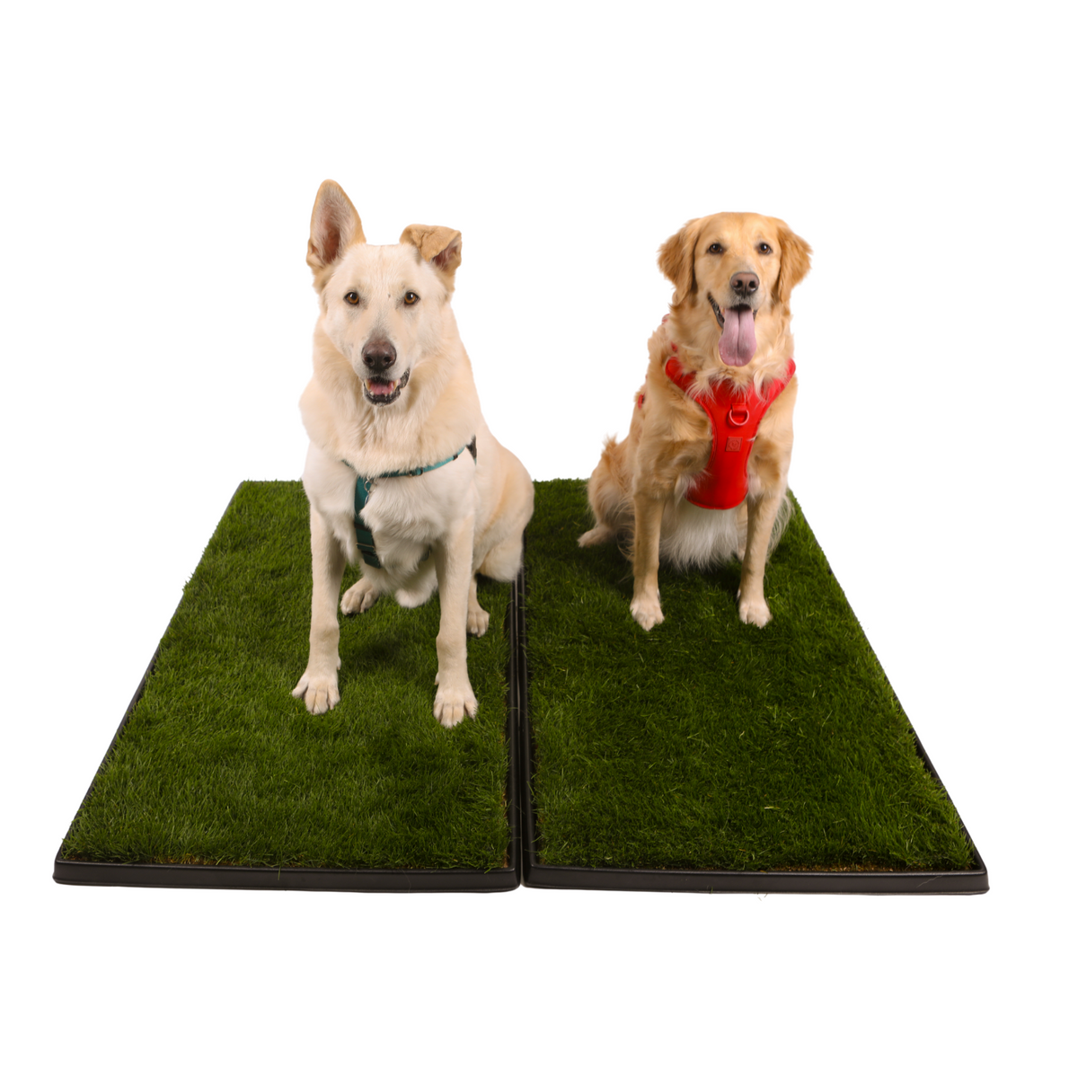 Dog Grass Potty product image 3
