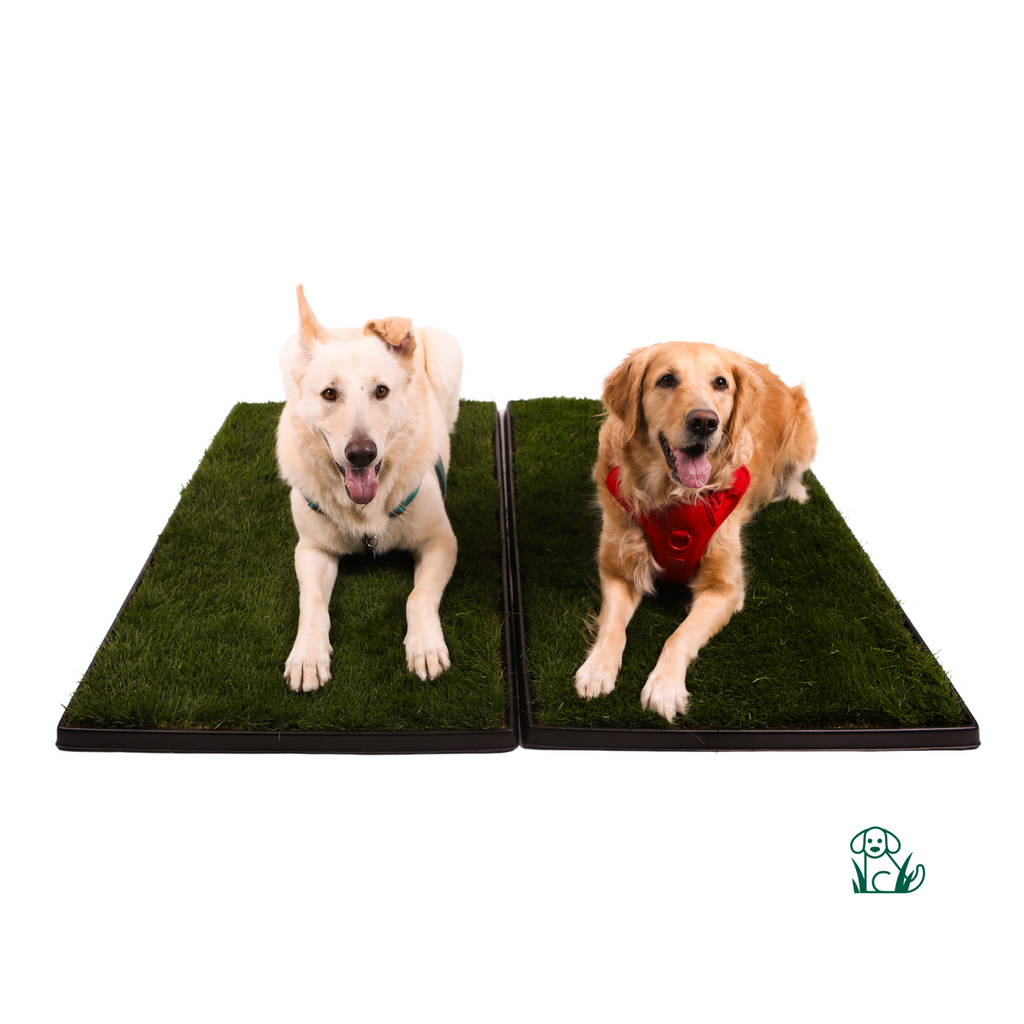 Dog Grass Potty product image 4