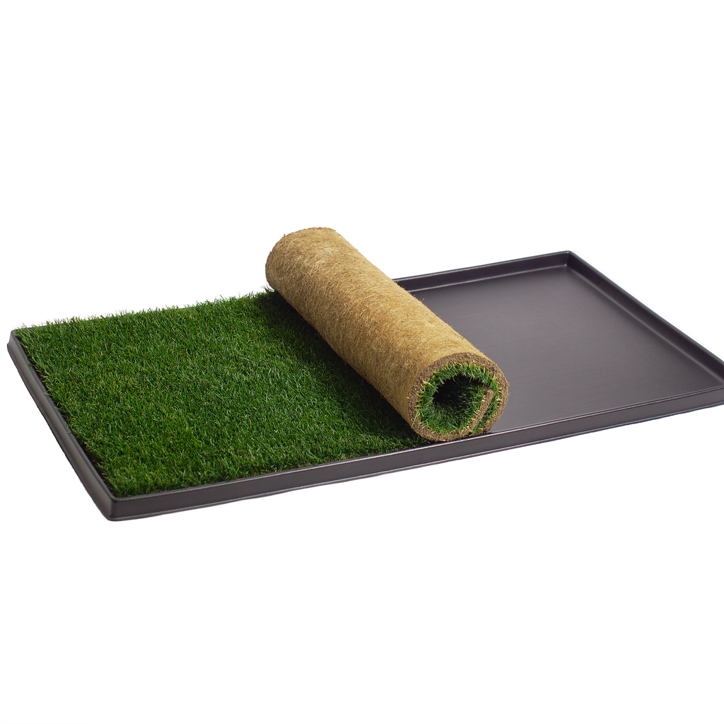 Dog Grass Potty product image 5