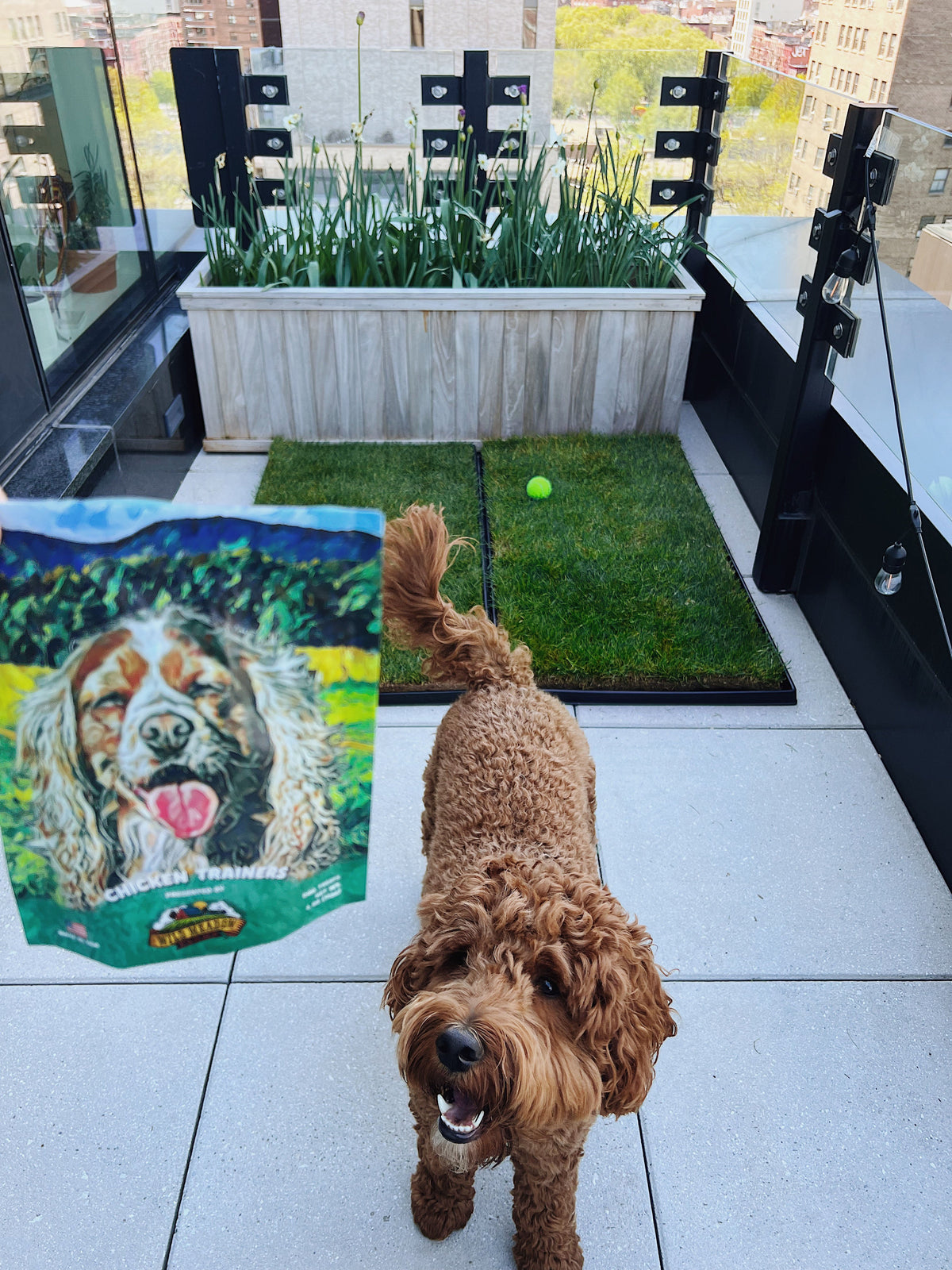 Dog Grass Potty product image 7