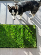 Dog Grass Potty product image 8