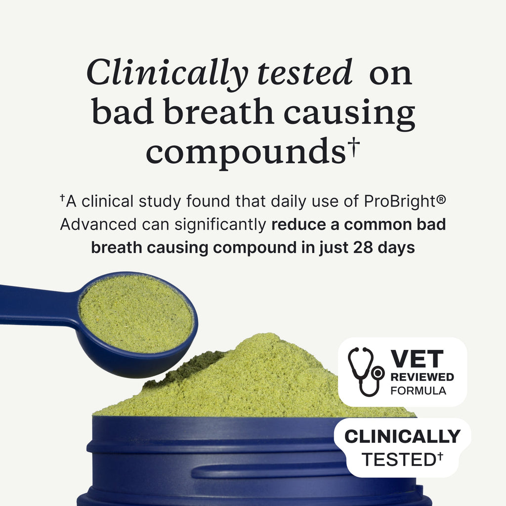 Dog Dental Powder product image 2