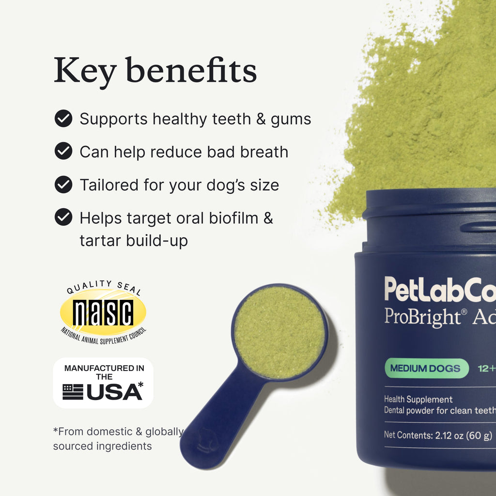 Dog Dental Powder product image 5