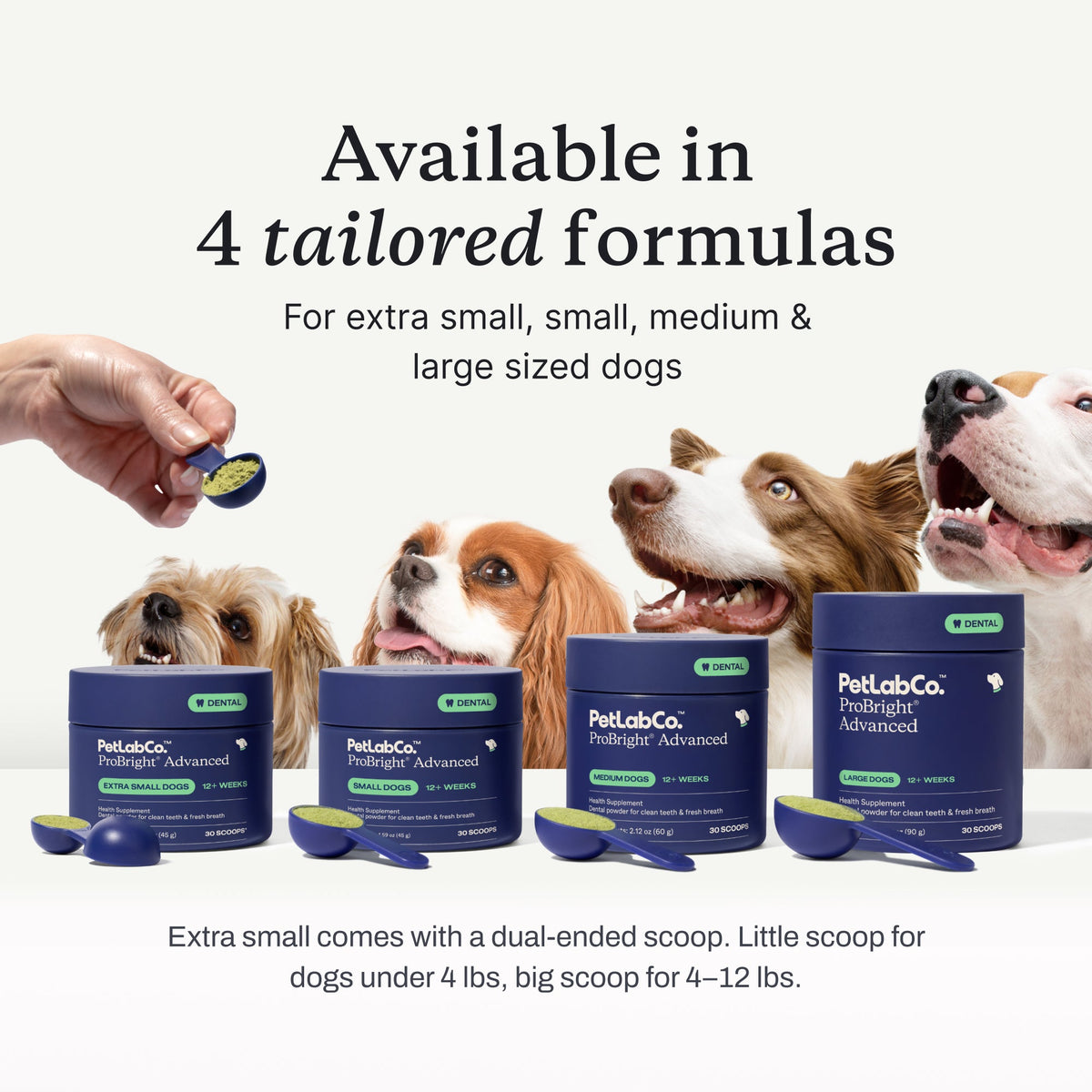 Dog Dental Powder product image 8