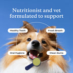 Dog Dental Powder product image 9