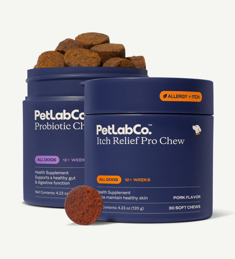 Dog Skin & Coat Supplement Bundle product image 1