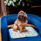 Cooling Pet Pad product image 1
