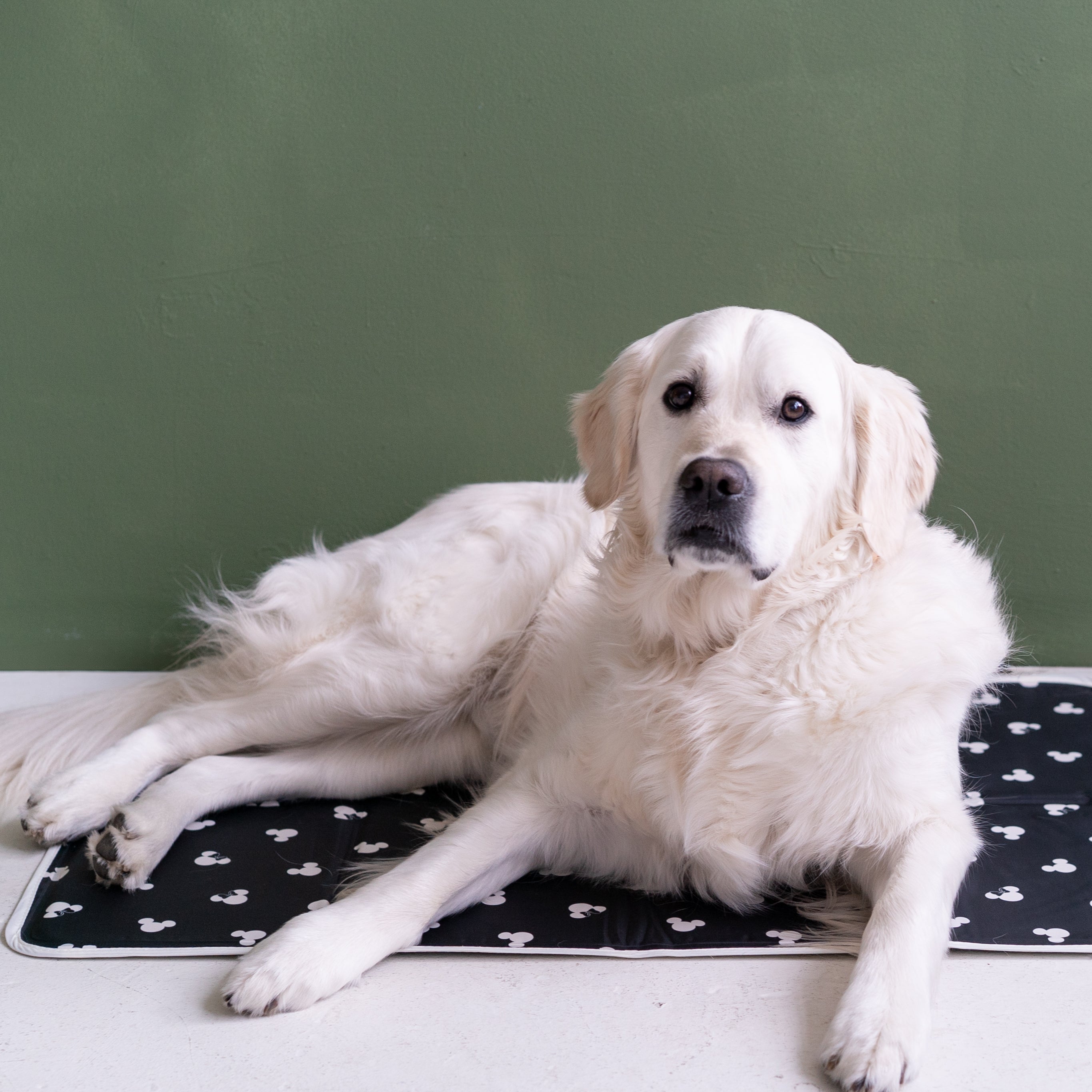 Cooling Pet Pad product image 1