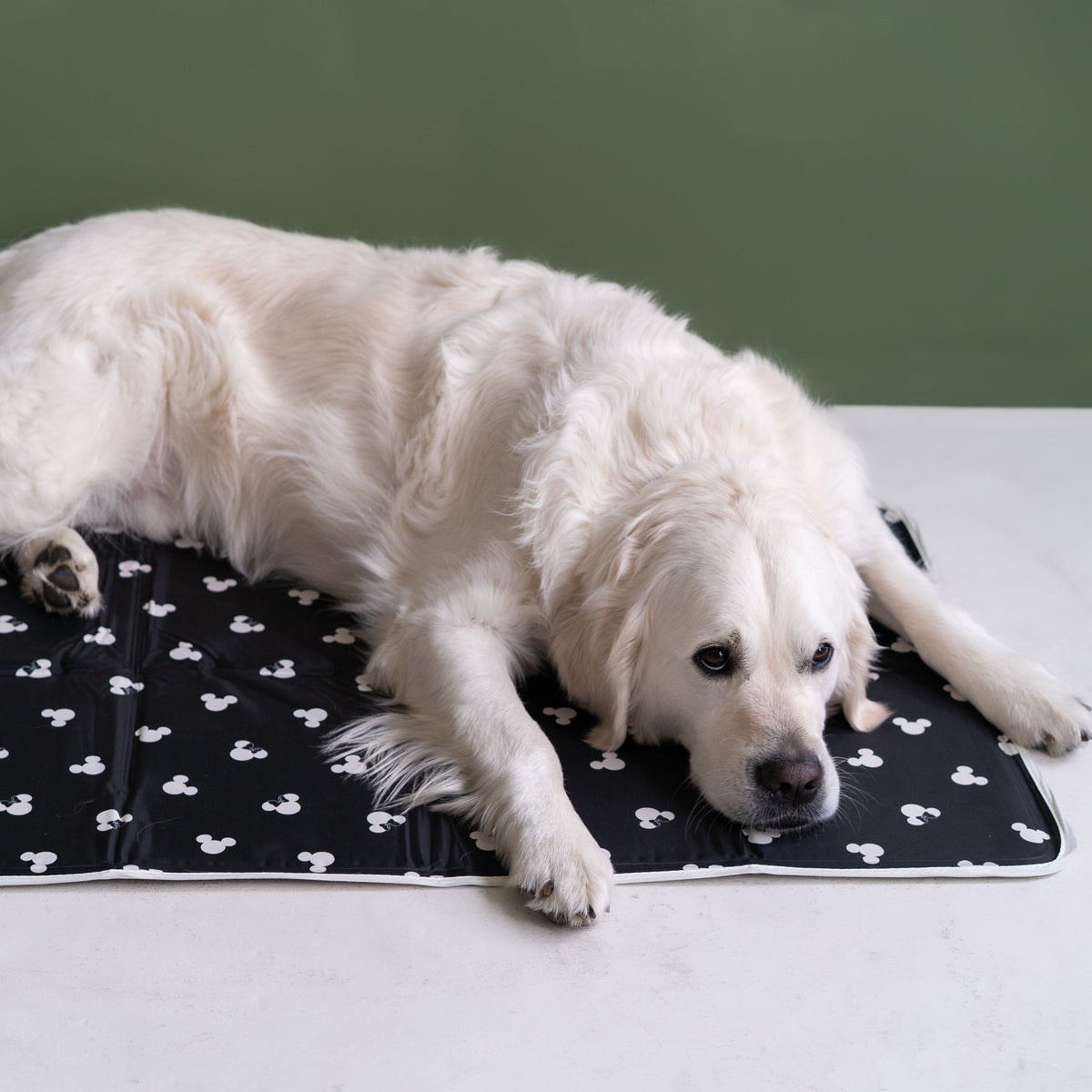 Cooling Pet Pad product image 3