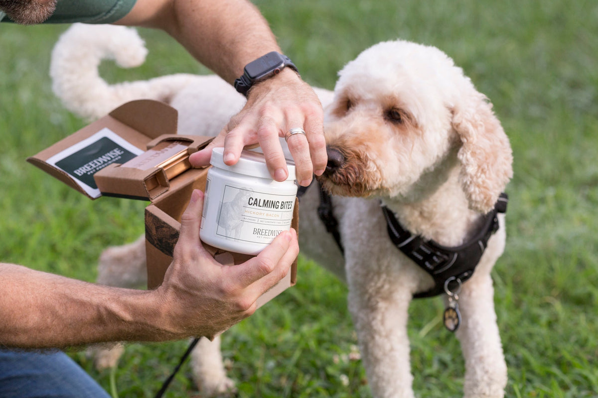 Dog Calming Treat product image 2