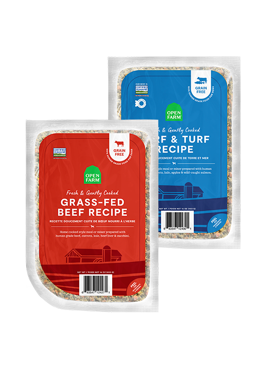 Frozen Dog Food product image 1