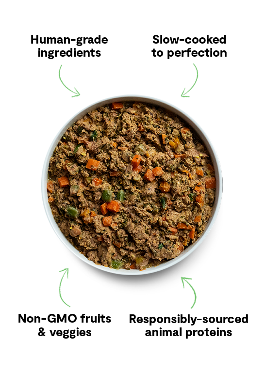 Frozen Dog Food product image 2