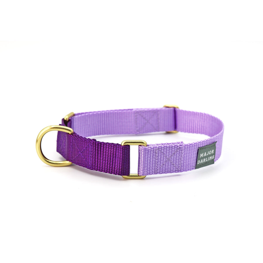 Martingale Dog Collar product image 1
