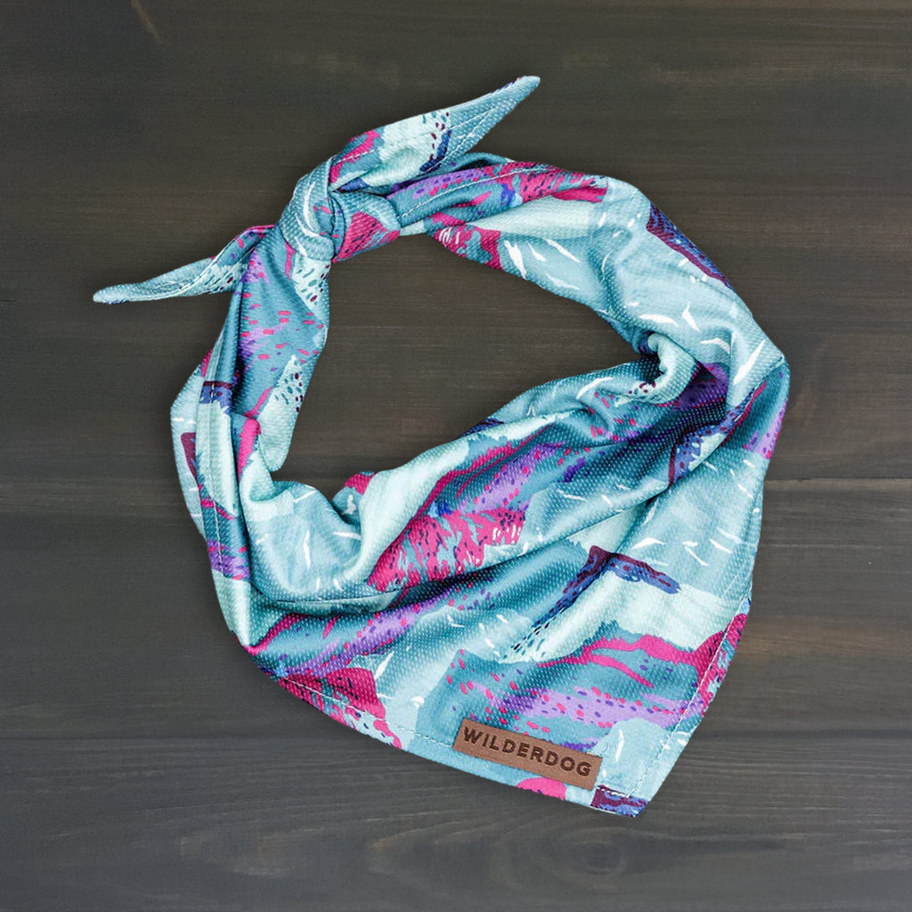 Dog Cooling Bandana product image 1