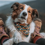 A fluffy dog wearing a Camp Bandana relaxes between a person's hiking boots, creating a serene outdoor ambiance, likely on a trail or in the mountains—an ideal companion equipped with their indispensable dog trail accessory.