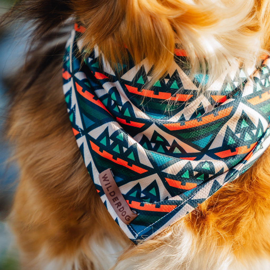 Dog wearing Camp Bandana with green, blue, orange, and white geometric patterns.