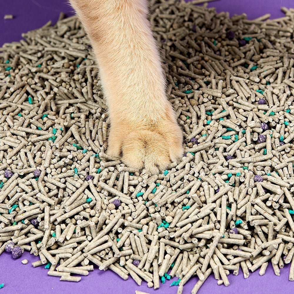 Mixed Cat Litter product image 4