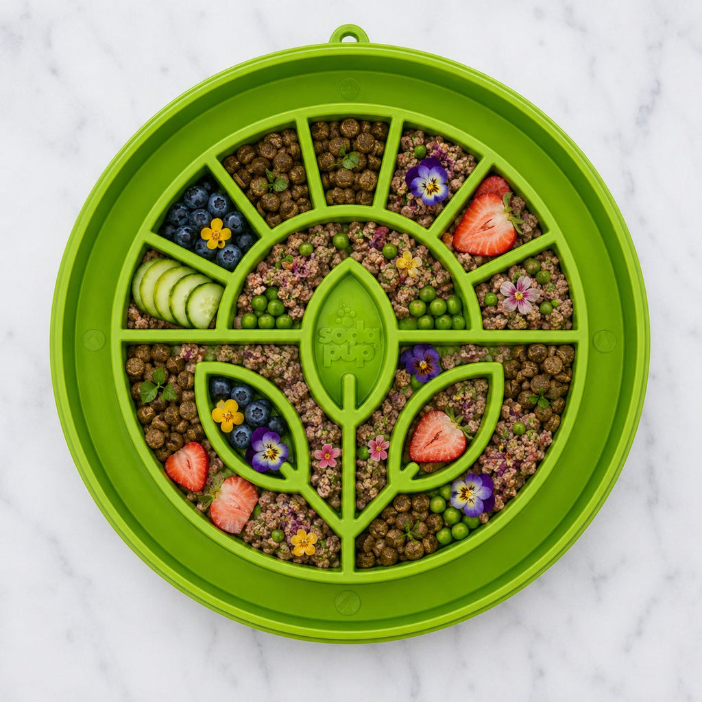 Slow Feeder Dog Bowl product image 2
