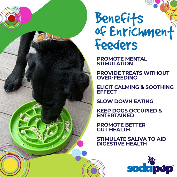 Slow Feeder Dog Bowl product image 4