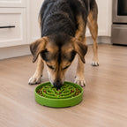 Slow Feeder Dog Bowl product image 7