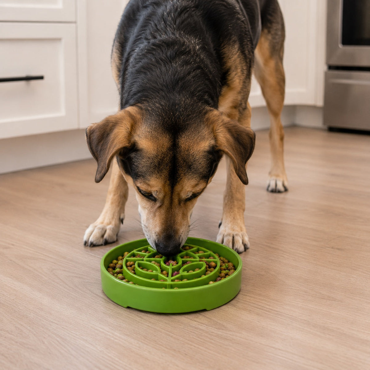 Slow Feeder Dog Bowl product image 7
