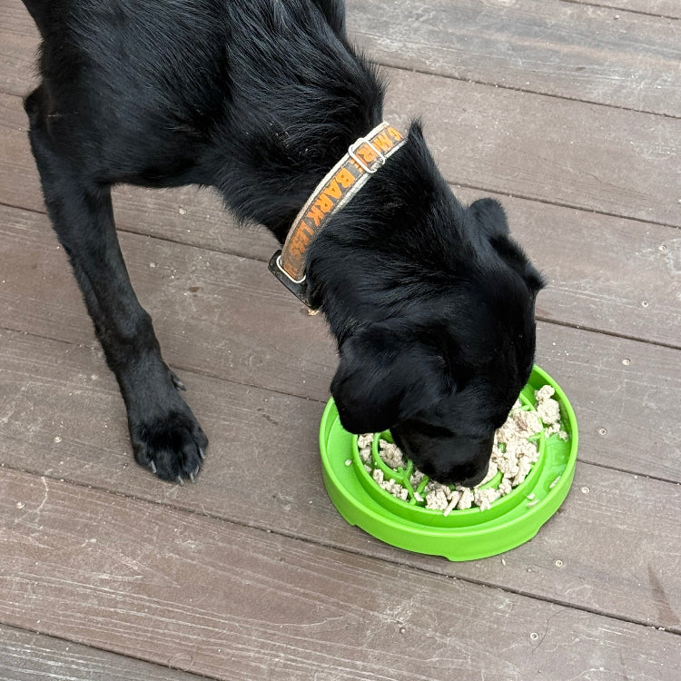 Slow Feeder Dog Bowl product image 8
