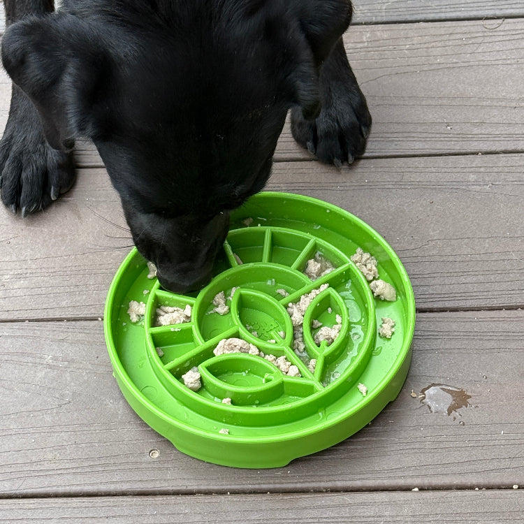 Slow Feeder Dog Bowl product image 9