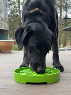 Slow Feeder Dog Bowl product image 10