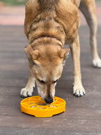 Slow Feeder Bowl product image 10