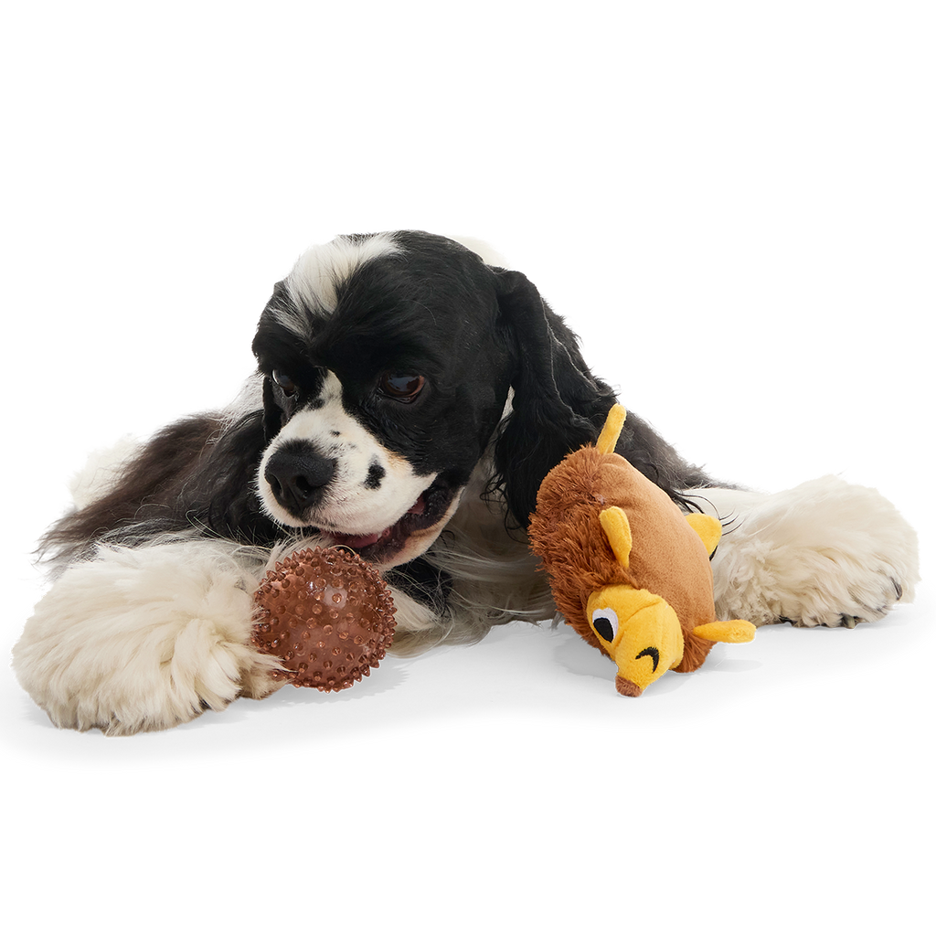 Plush Dog Toy product image 3