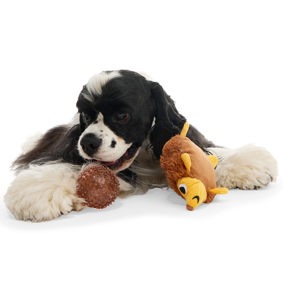 Plush Dog Toy product image 3