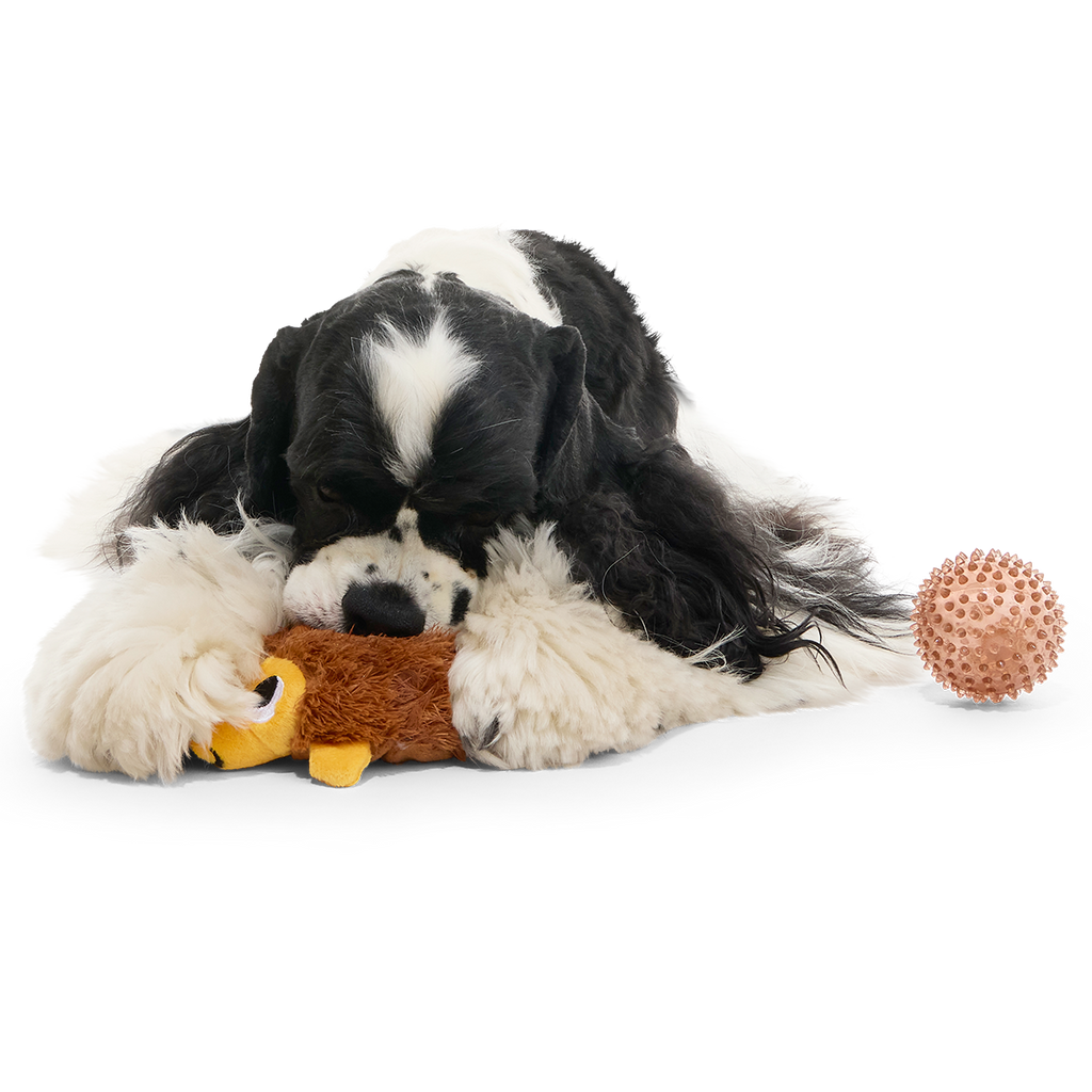 Plush Dog Toy product image 4
