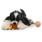 Plush Dog Toy product image 4