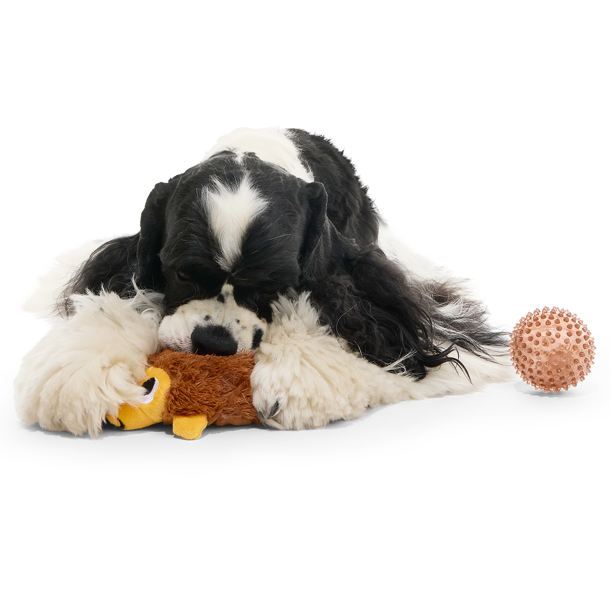 Plush Dog Toy product image 4