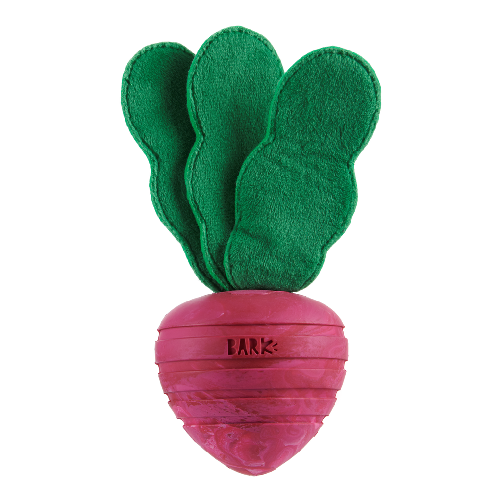 Rubber Tug Dog Toy product image 1